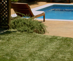 Aquagrazz a 1.250 CZK