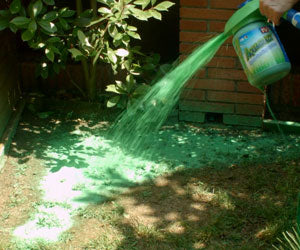 Aquagrazz a 19.906 HUF