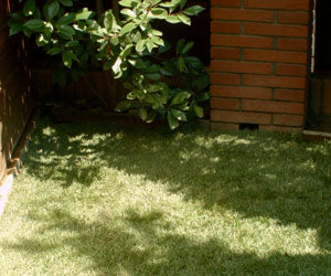 Aquagrazz a 59,99€