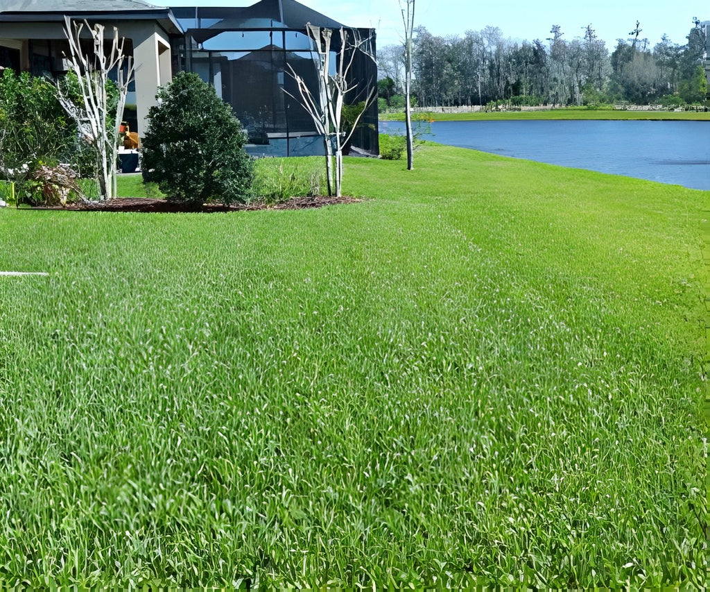 Grass Seed Mat a 59,99€