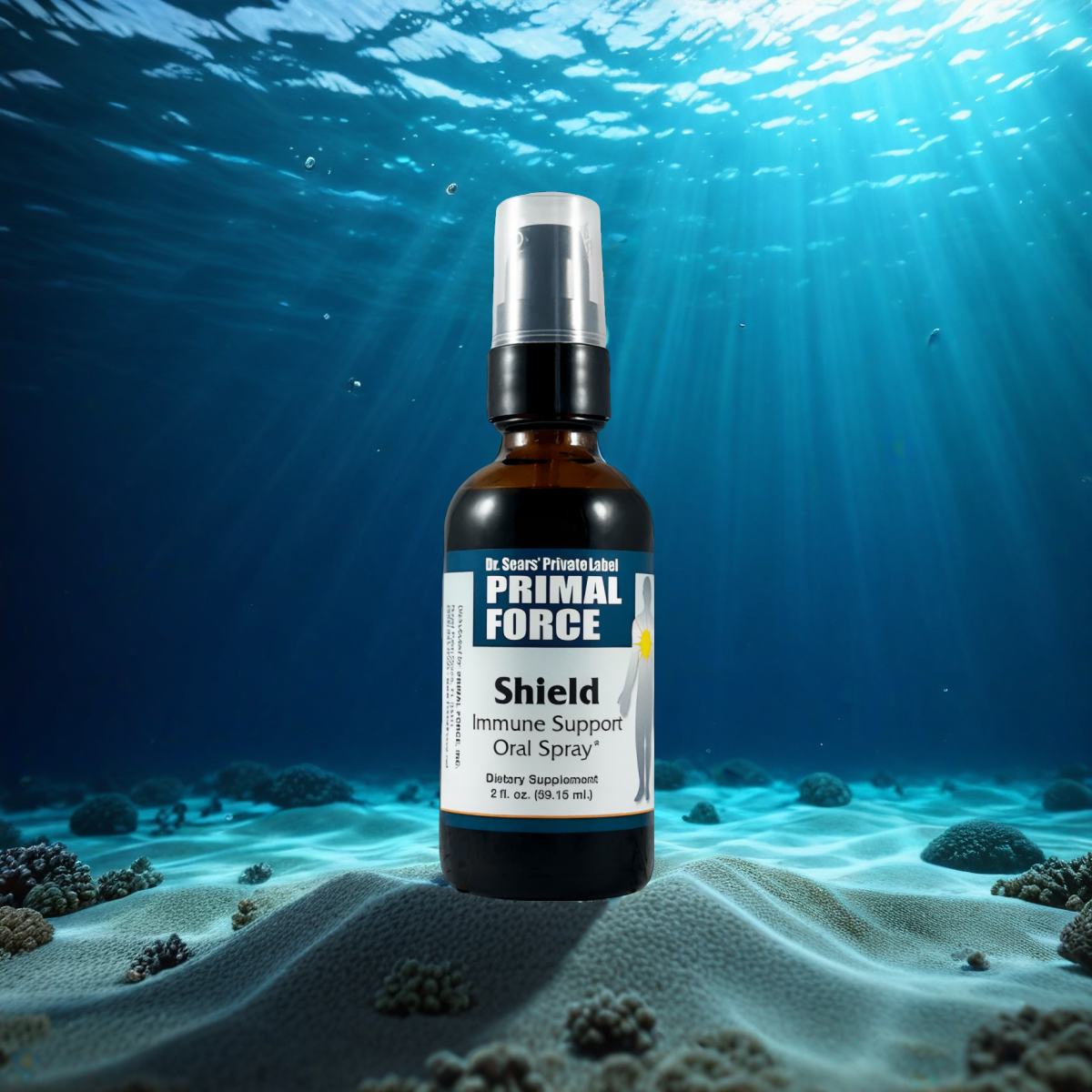 Shield Immune Support (1 bottle)